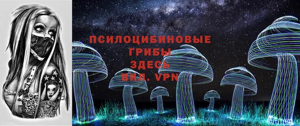 PSILOCYBIN Богданович