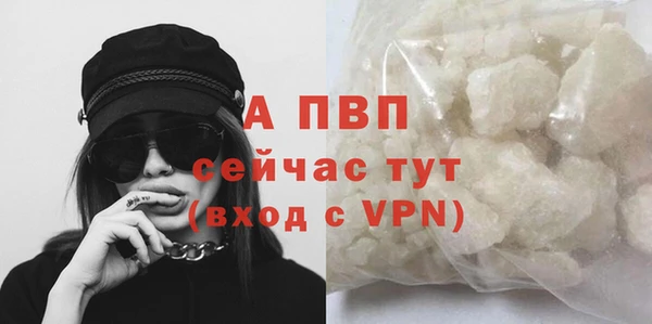 PSILOCYBIN Богданович