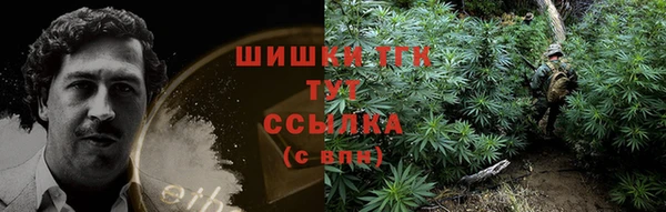 PSILOCYBIN Богданович
